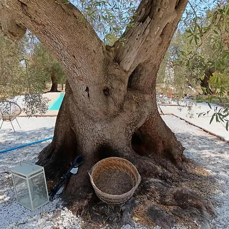 Trullo Terracielo * Ceglie Messapica