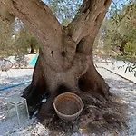 Trullo Terracielo * チェーリエ・メッサーピカ