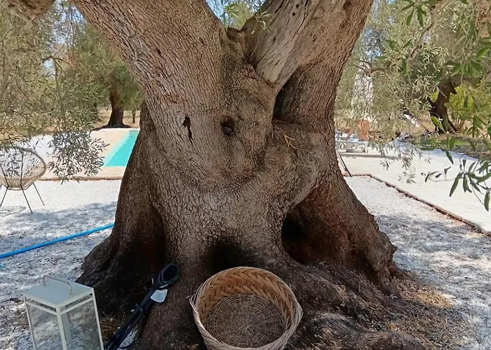 Trullo Terracielo * Ceglie Messapica